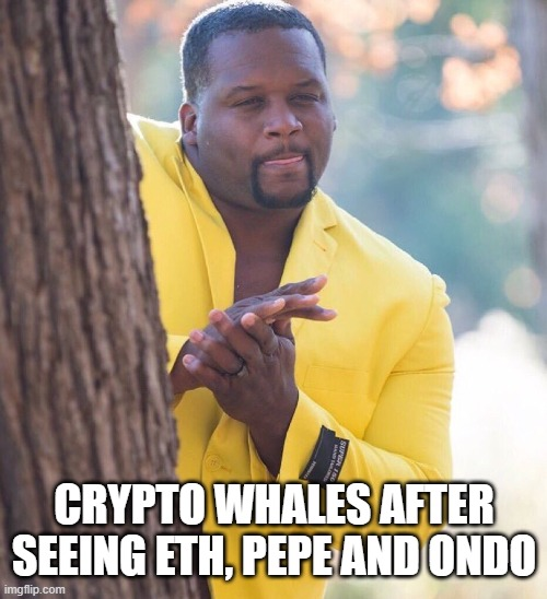 hodl-post-image