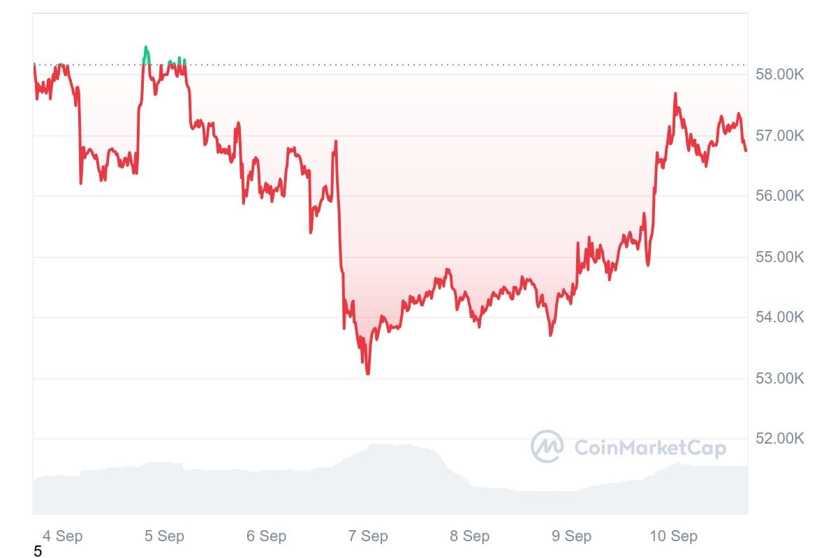 hodl-post-image