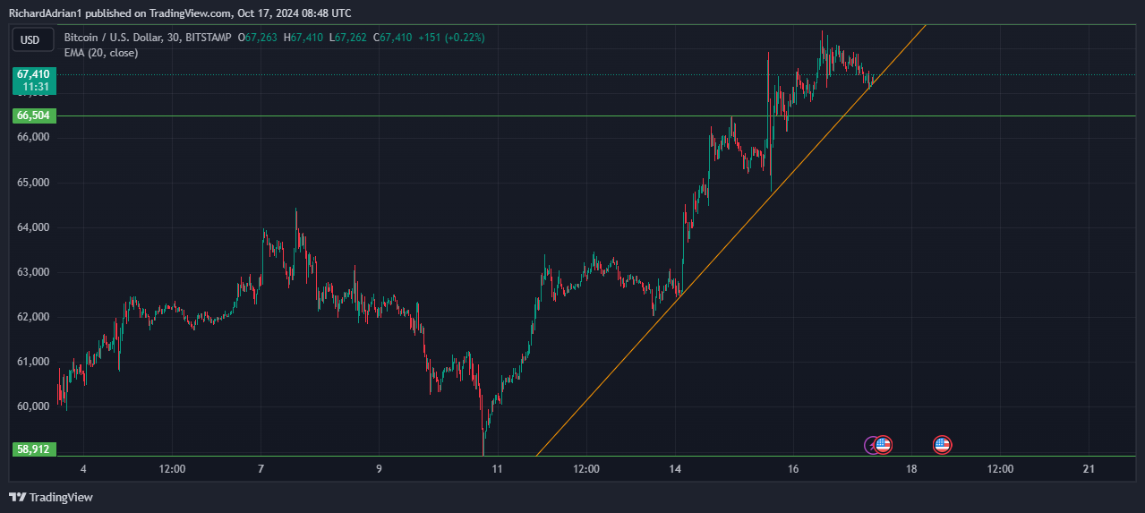 hodl-post-image