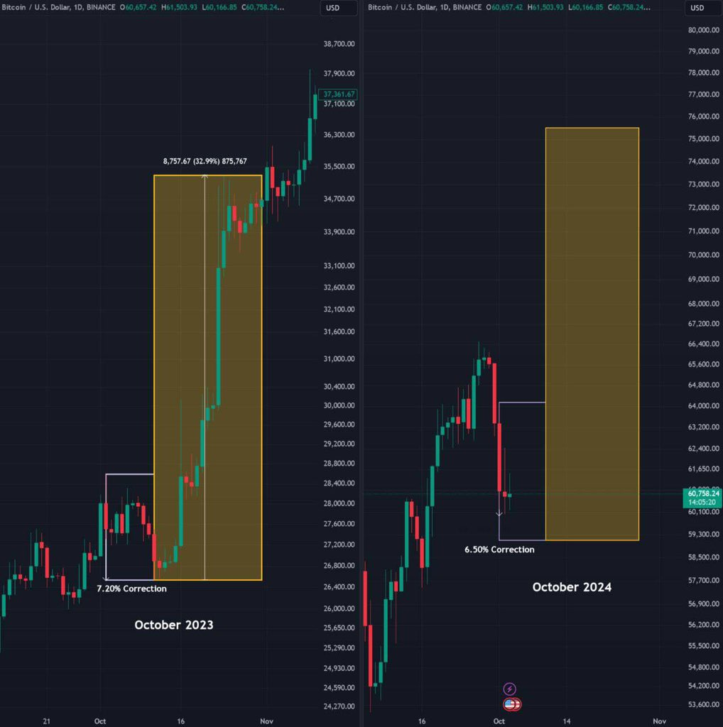 hodl-post-image