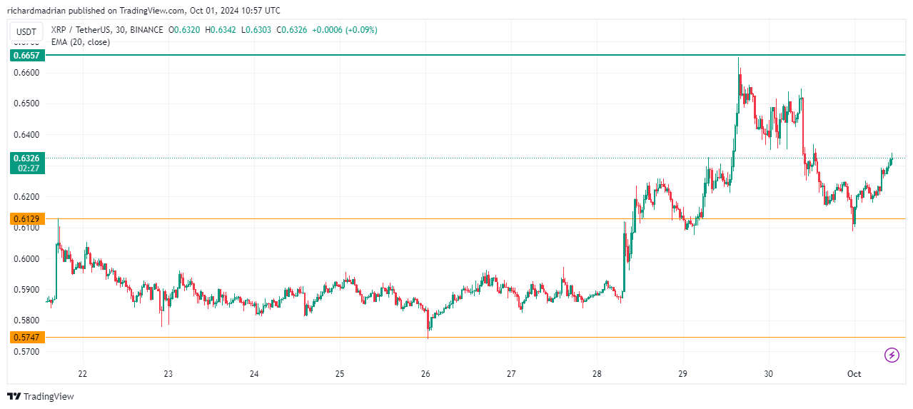 hodl-post-image