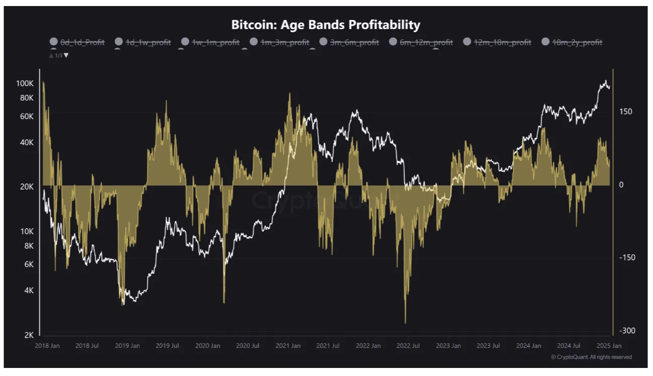 Bitcoin STH profitability (screenshot). Source: CryptoQuant