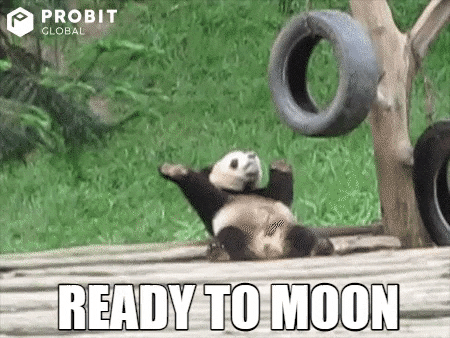 hodl-post-image