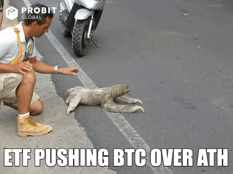 hodl-post-image