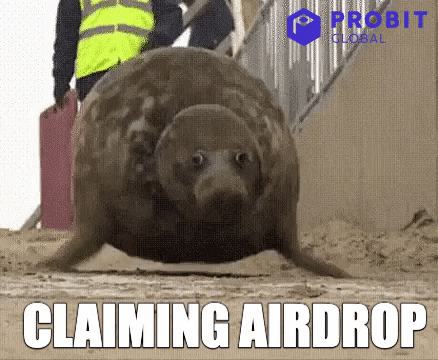 hodl-post-image