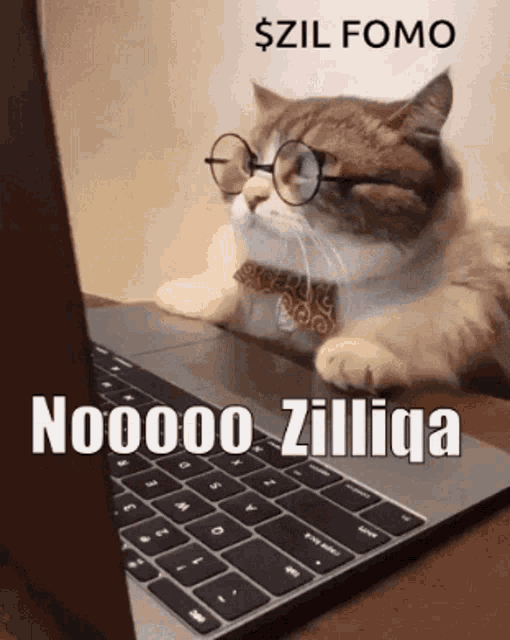 hodl-post-image