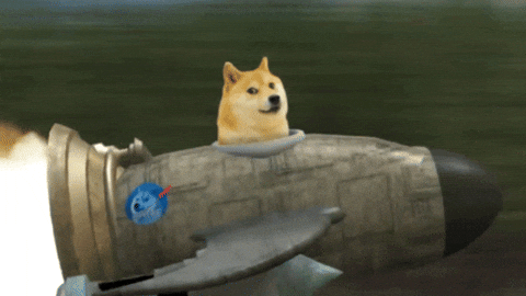 hodl-post-image