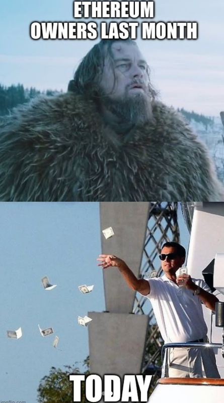 hodl-post-image