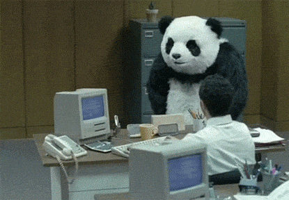 Angry panda