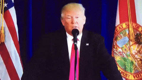 Pov: Trump choosing crypto-friendly candidates.