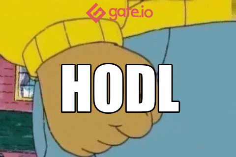 hodl-post-image