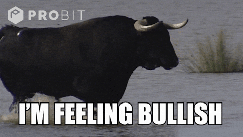 hodl-post-image