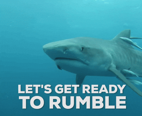 Let's get ready to Rumble