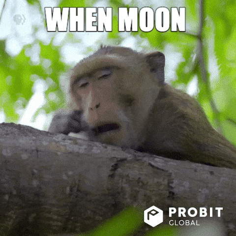 when moon