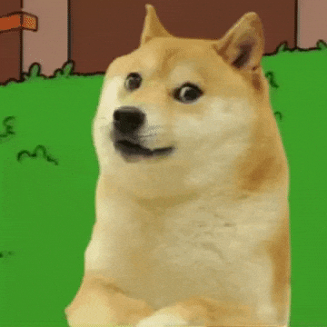 Doge Hiding