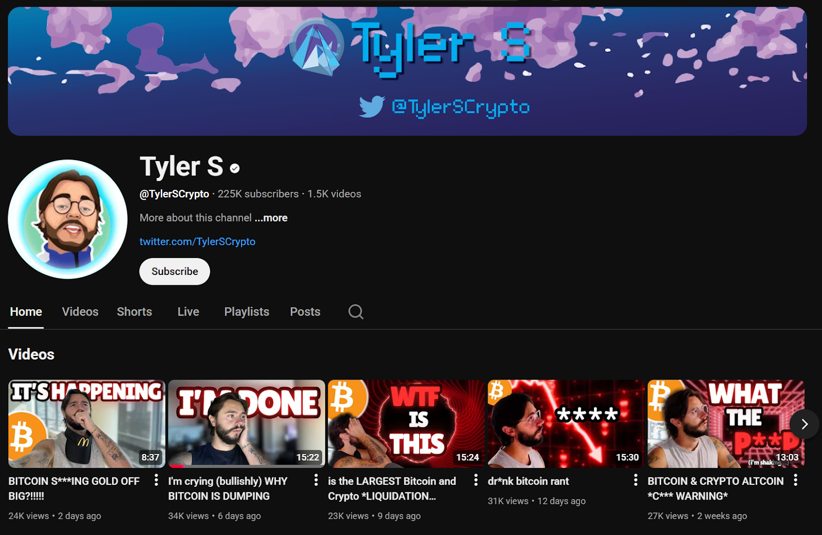 Tyler S Youtube Channel 