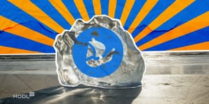 The Rise and Fall of OpenSea - Inside the NFT Giant's Journey