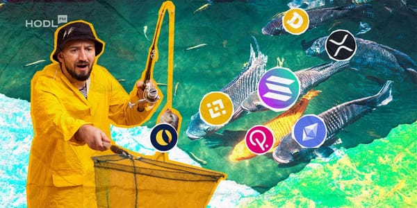TOP Altcoins Projects with the Most Capital in 2024
