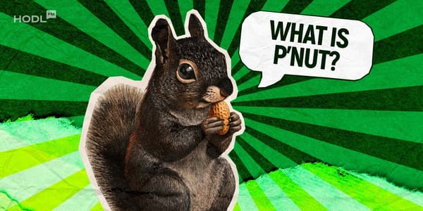 Peanut the Squirrel Becomes Right-Wing Symbol in Last Election Push