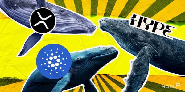 Crypto Whales Make a Splash: What They're Buying for January 2025