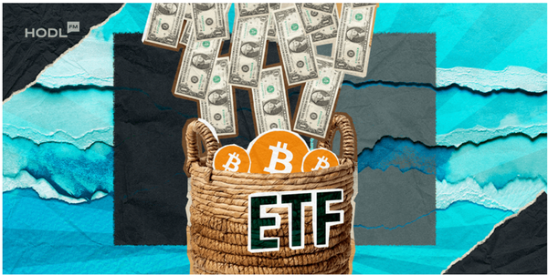 Bitcoin ETFs Hit Longest Inflow Streak Since 2024