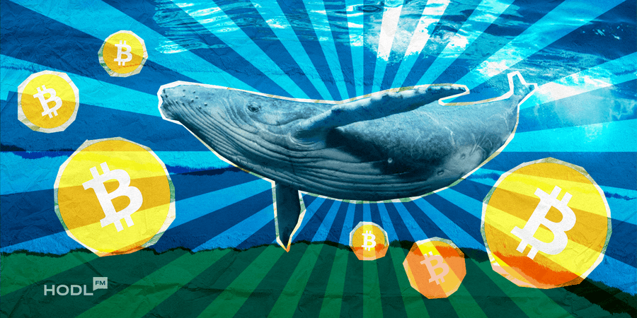 Bitcoin Could Hit $116K This Month as Macro Trends Line Up for a Surge