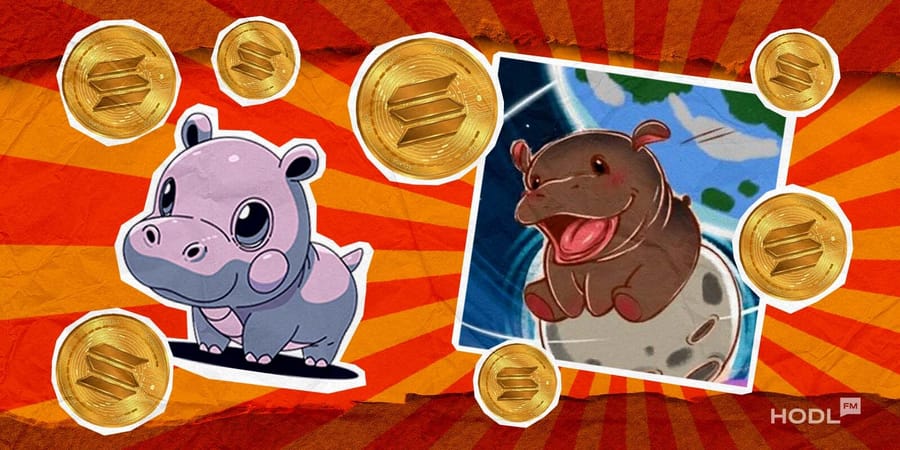 MOODENG: How a Viral Thai Hippo Inspired a $190M Meme Coin