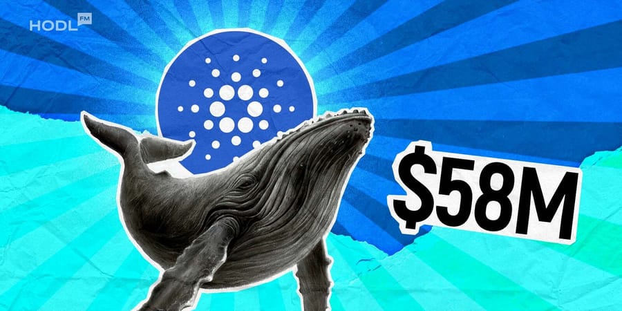 Cardano Whales Make a Splash: $58 Million ADA Purchase Sparks Rally