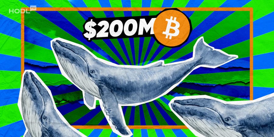 Bitcoin Whales Stir the Crypto Pot: $200M Buy and an 8-Year Sleep Awakening