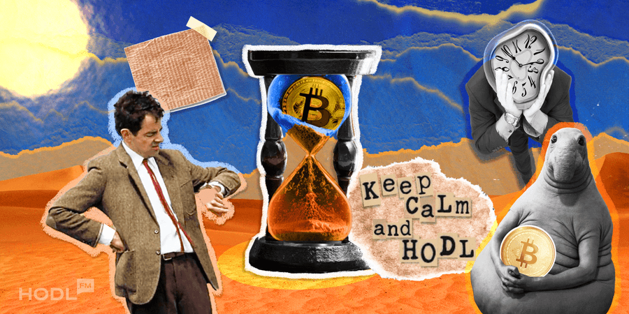 HODLing: The Mastery of Watching Bitcoin Collect Dust