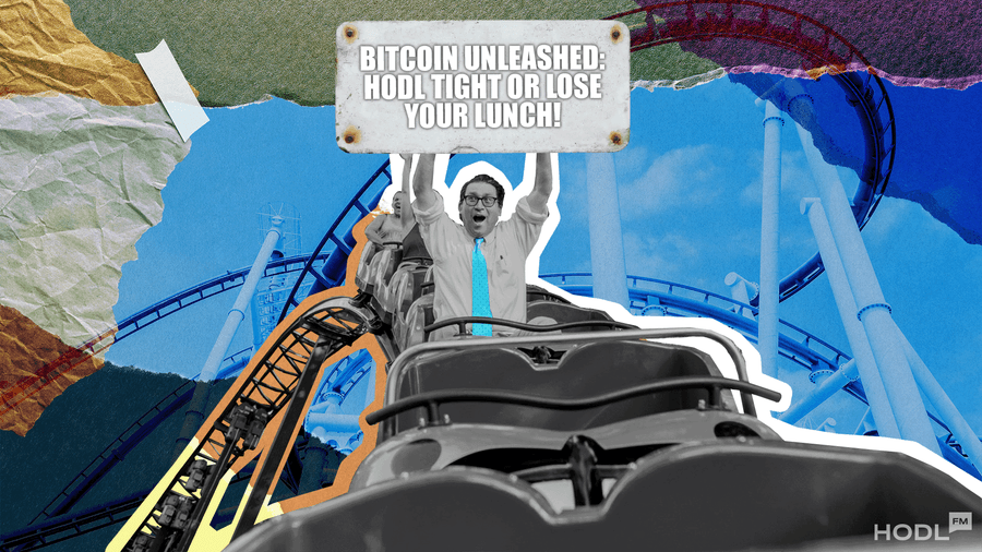 Bitcoin Unleashed: The Pros, the Cons, and the Crypto Rollercoaster Ride!