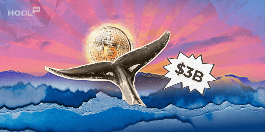 Bitcoin Whales have Accumulated a Whopping $3 Billion in January