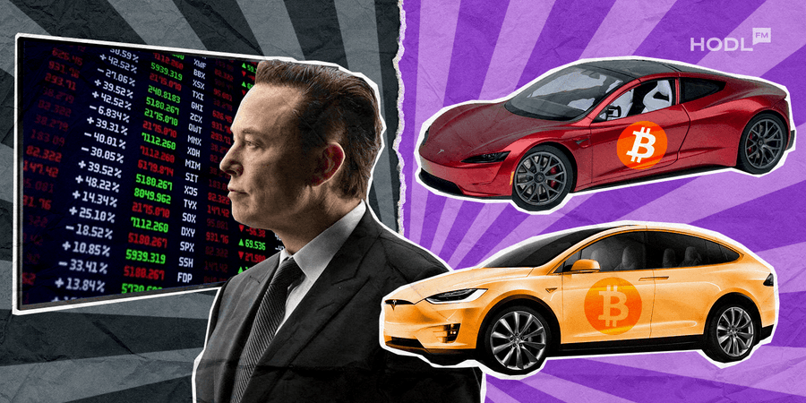 Elon's Bitcoin Rodeo: How to HODL Like a Billionaire