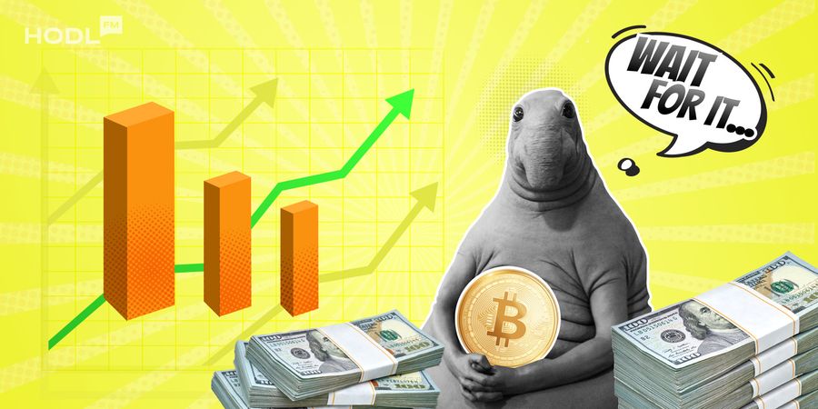 How to HODL: Mastering the Art of Patience and Profits