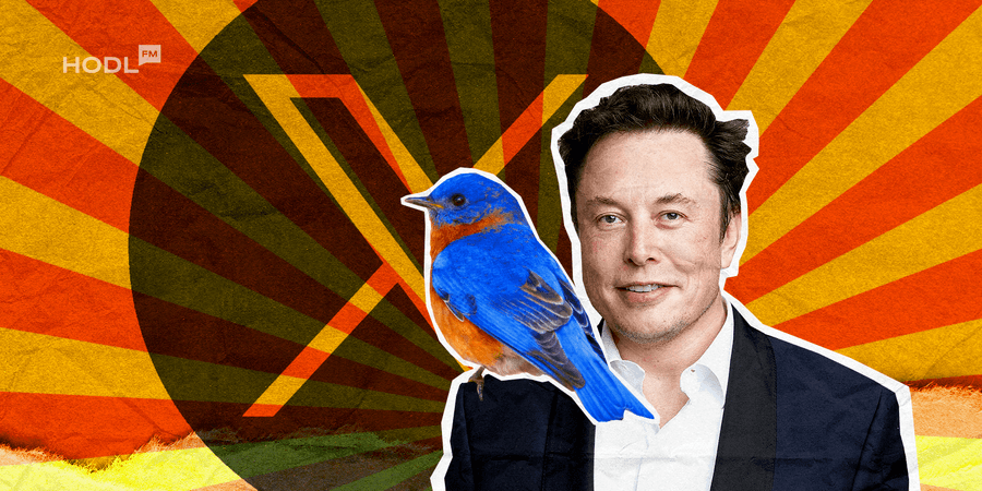 Elon Musk's 'X' Rebranding; Farewell Bluebird