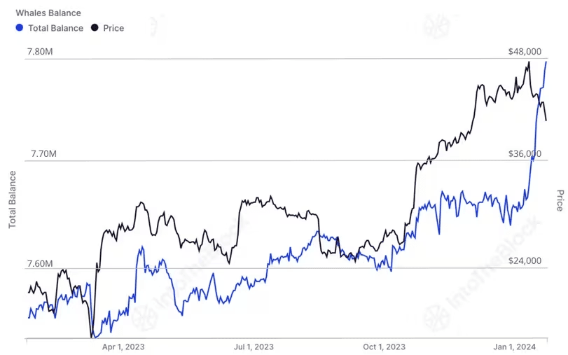 whale bitcoin