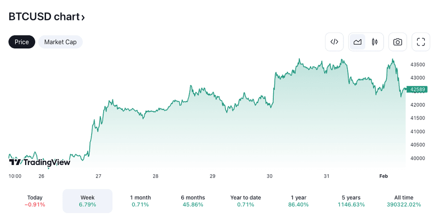 hodl-post-image